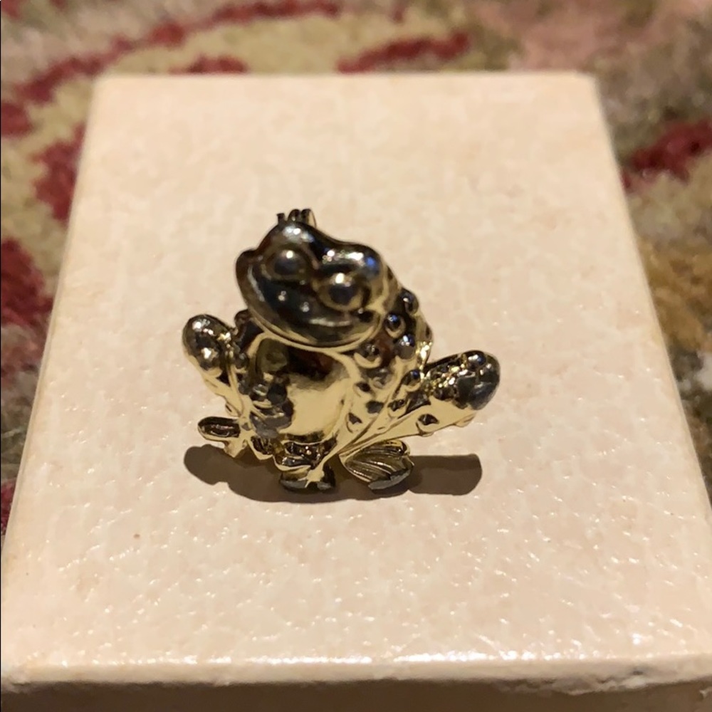 Frog đ¸ Brooch - Picture 4 of 4